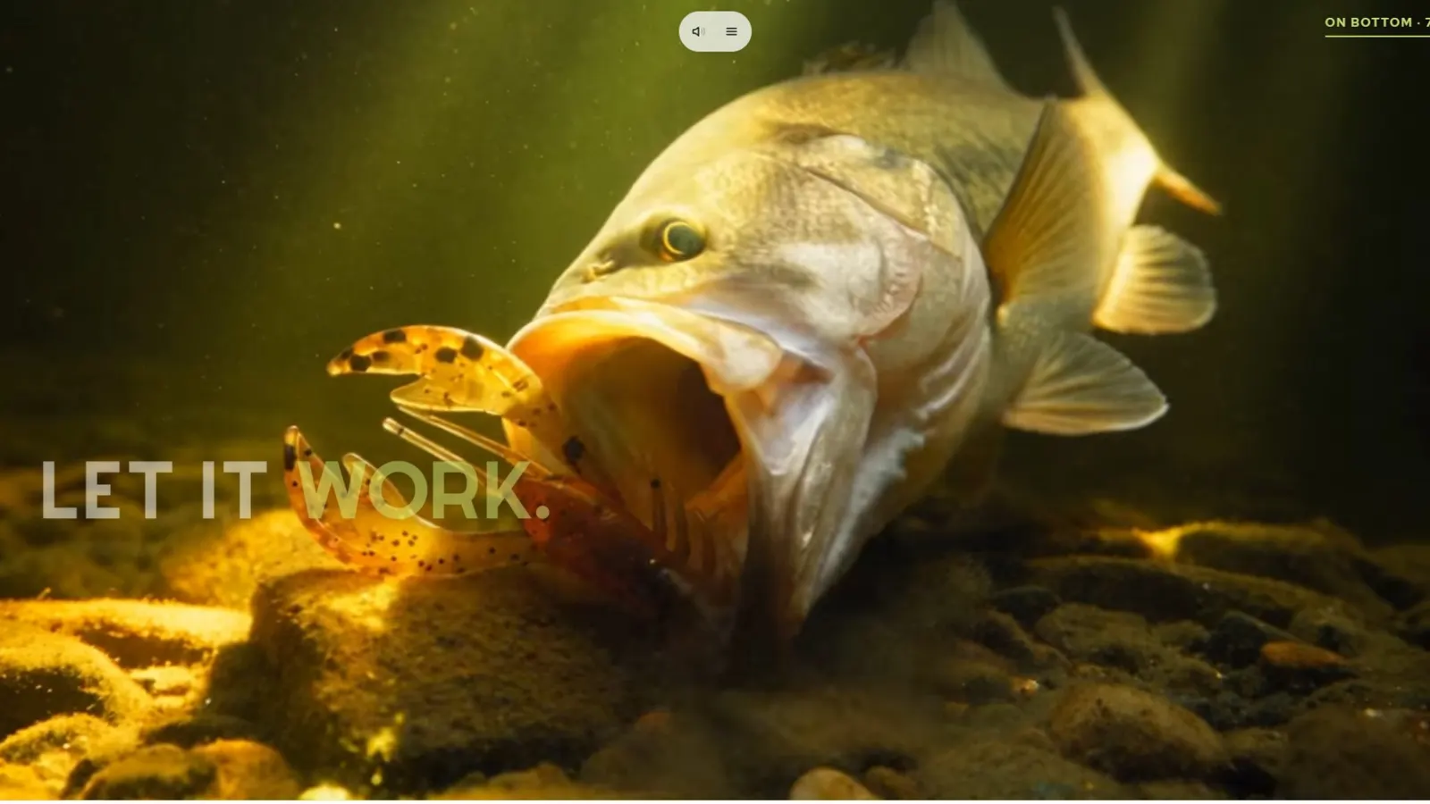 The end of the Dead Stick Baits film: a bass takes the bait on the bottom of the lake, under the words Let it work