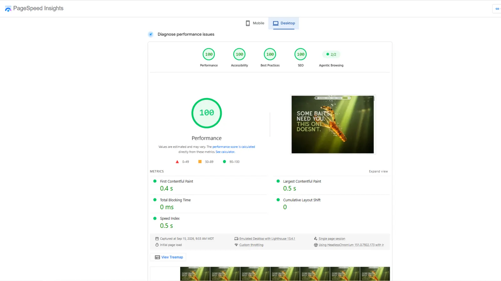 Google PageSpeed Insights for deadstickbaits.com on a desktop: 100 for speed, accessibility, best practices and search