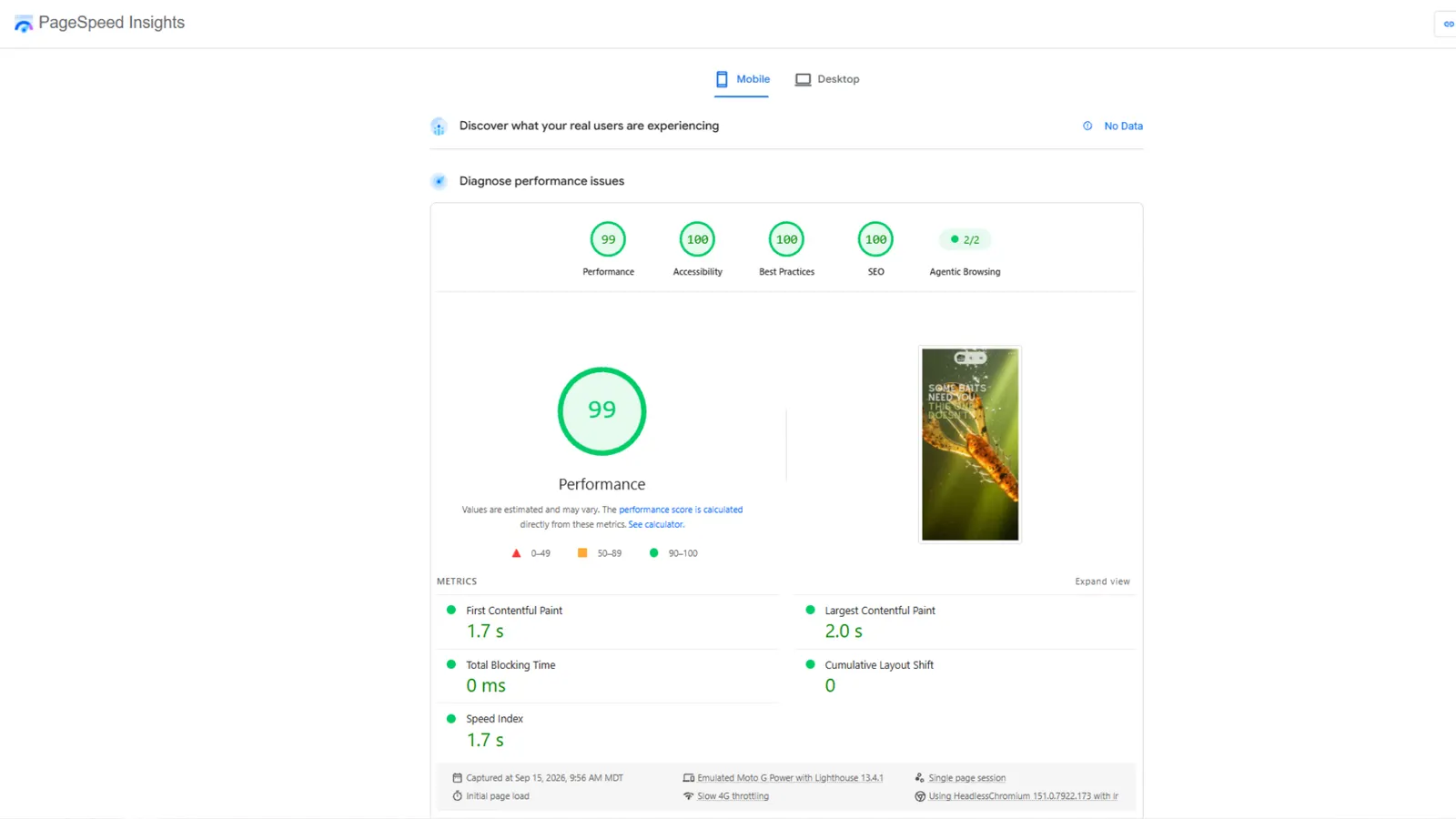 Google PageSpeed Insights for deadstickbaits.com on a phone: 99 for speed, 100 for accessibility, best practices and search